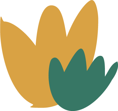 Two colorful flower icons symbolizing collaboration and educational impact supported by the Bellingham Public Schools Foundation